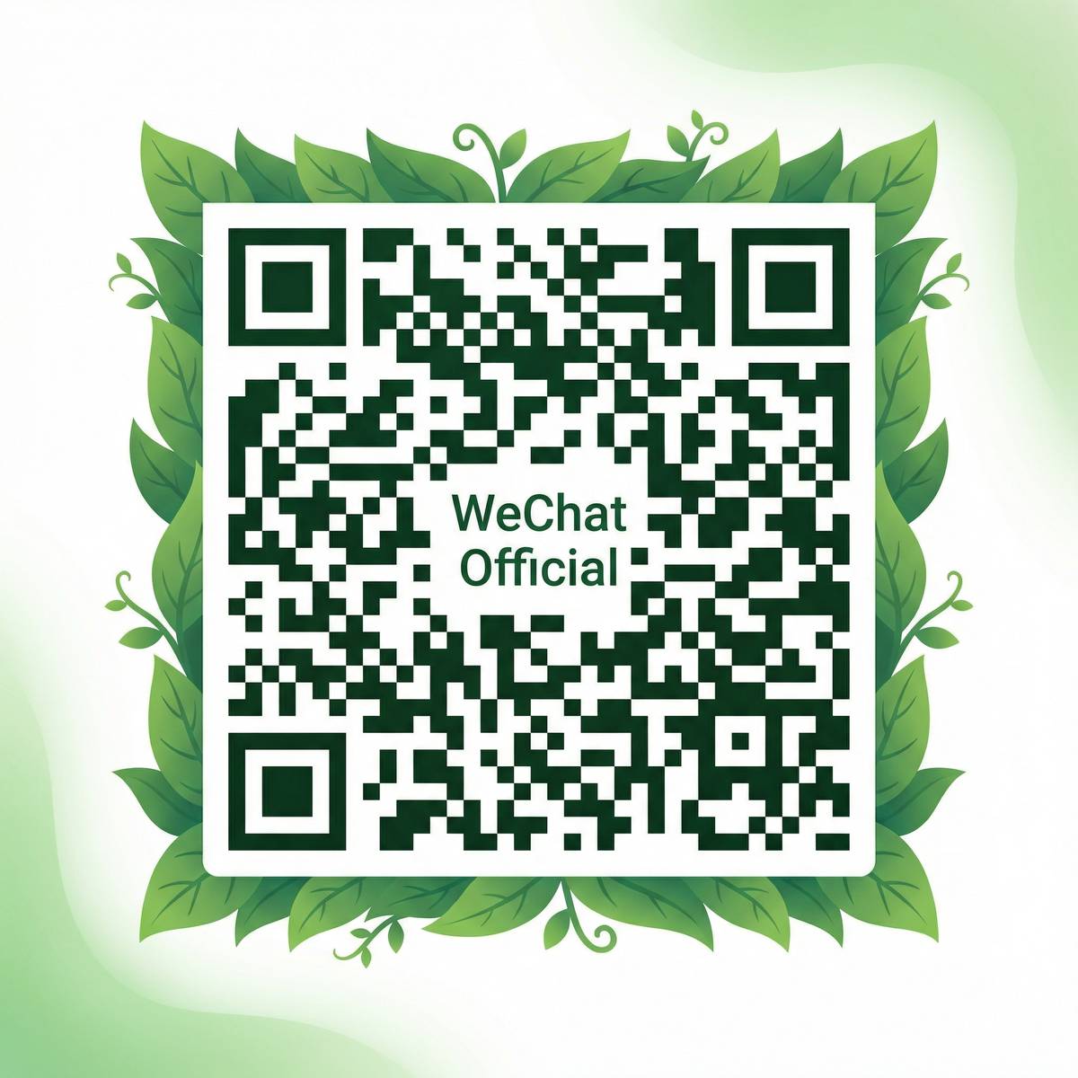 小小绘公众号二维码